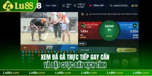 Đá gà trực tiếp Lu88