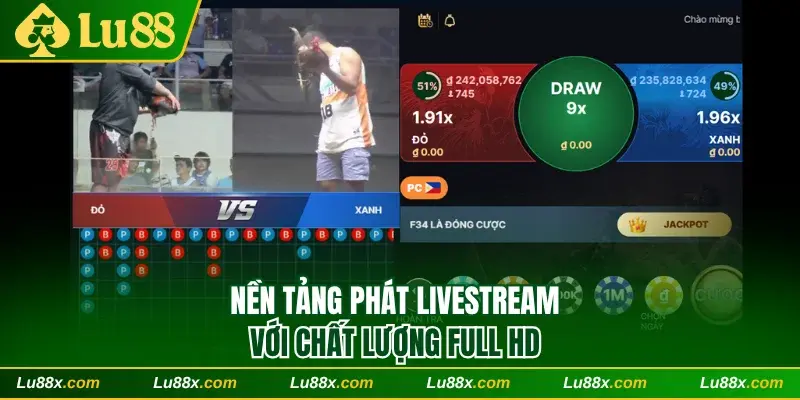 Nền tảng phát livestream với chất lượng full HD